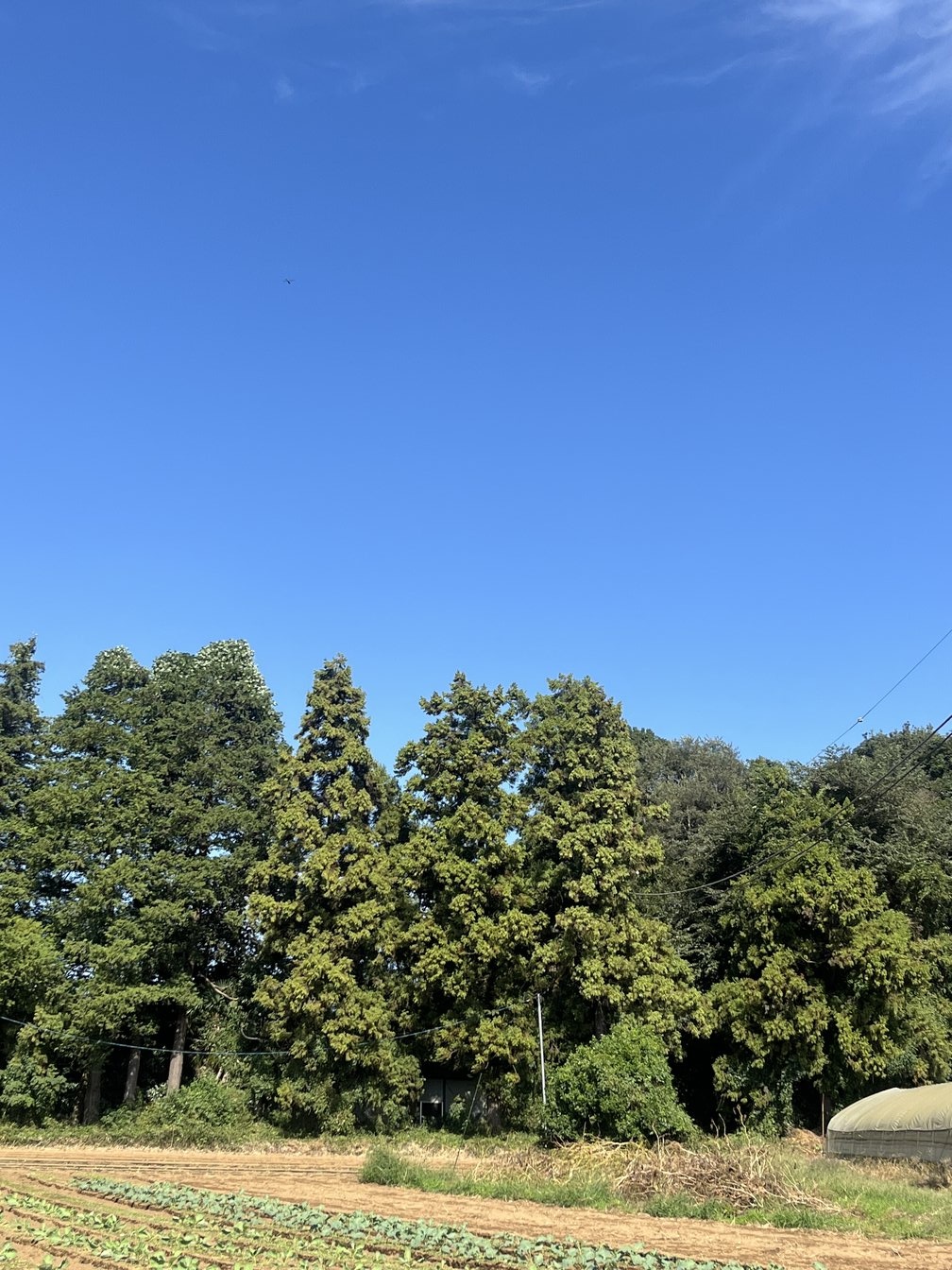 田舎の自然環境