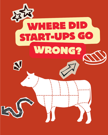 Where did start-ups go wrong?